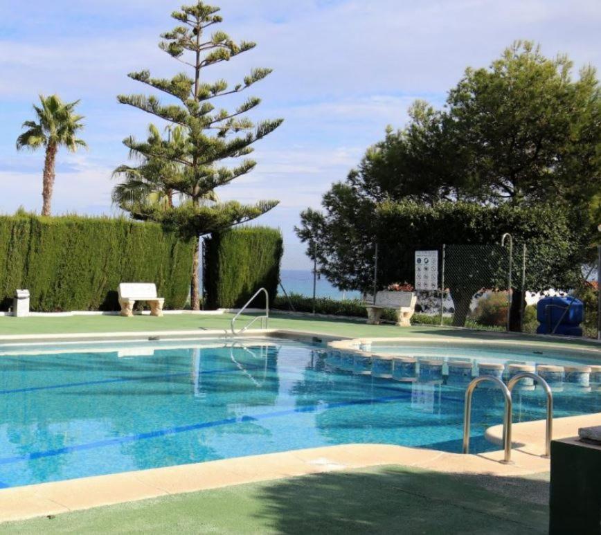 Apartment With Sea View, La Mata Torrevieja Eksteriør bilde